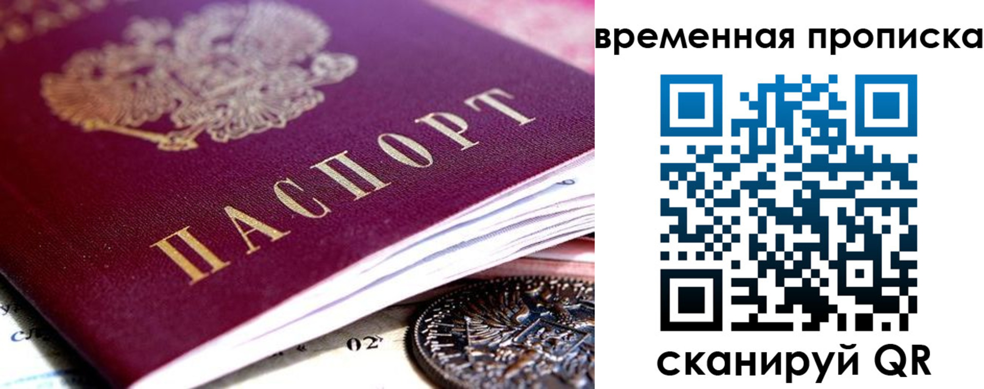временная прописка в Волосово